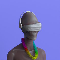 705 image